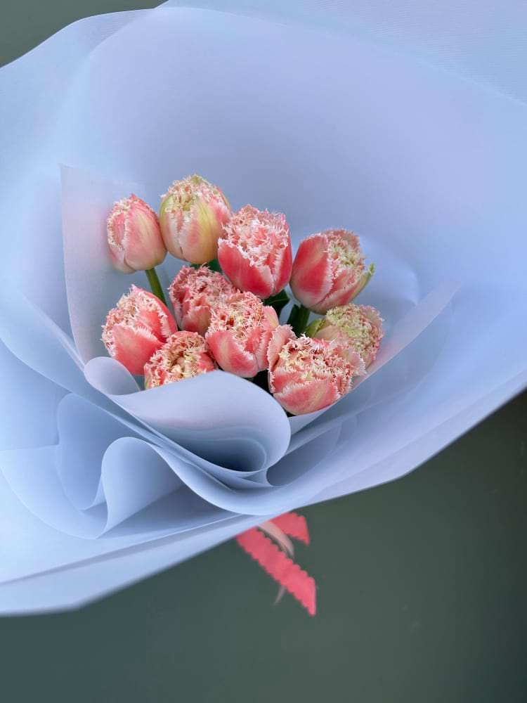 Bunch of double frilled tulips in mixed seasonal colours wrapped in white paper