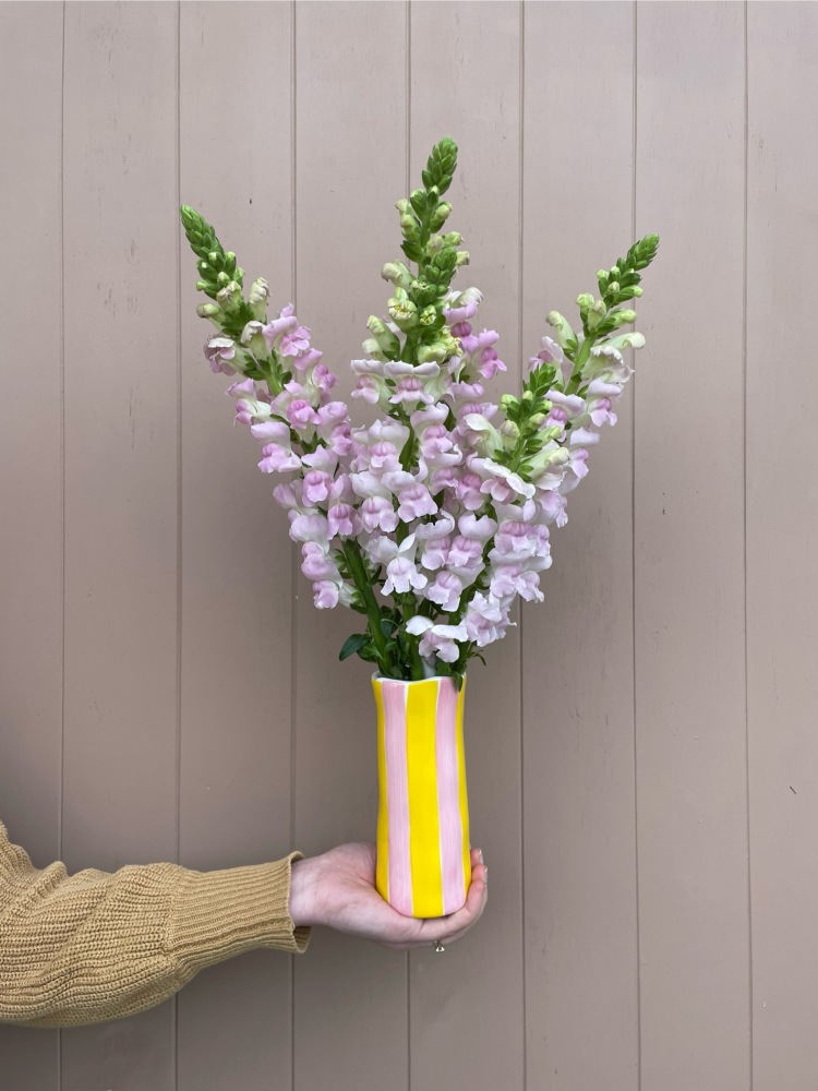 Snap Dragon Market Bunch