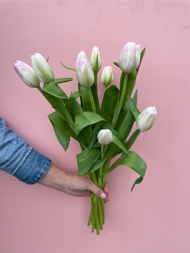 Introducing the perfect choice for a simple yet elegant gift - our Bunch Lovely Tulips! These charming flowers are a classic symbol of love and grace, making them the ideal present for any occasion. Each bunch contains ten hand-selected tulips, colours chosen at random. Our bouquet comes beautifully gift wrapped, or, for an even more special touch, you can add a small Noss Vase to complete the perfect gift. Not only are these tulips a delightful addition to any space, but they also have a deep meaning behind them - representing love, passion, and elegance. So whether you`re celebrating a special milestone or simply want to brighten someone`s day, our Bunch of Tulips is the perfect choice. 